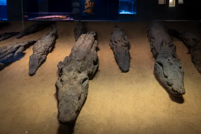 DSC08120-Enhanced-NR