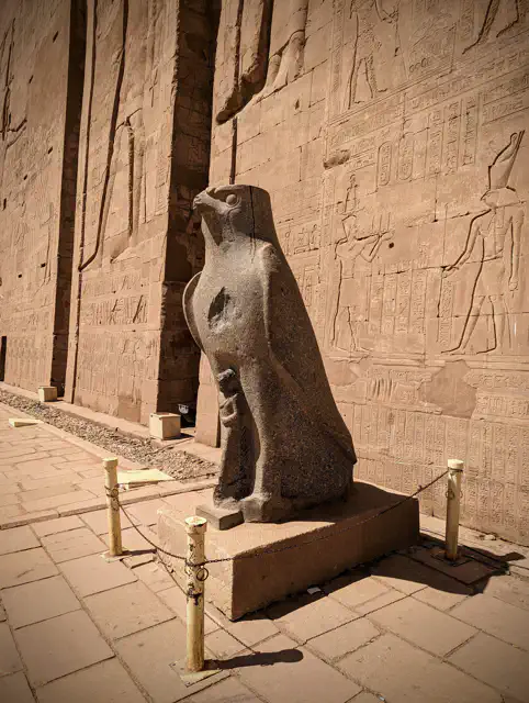 03_PXL_20230309_110812814