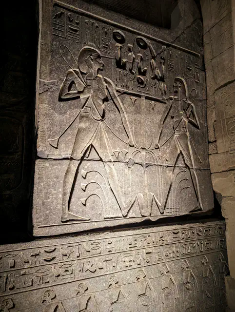 PXL_20230309_170217337.NIGHT