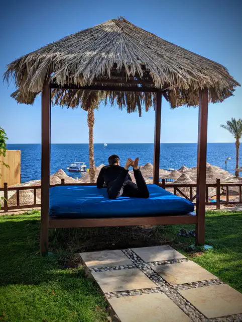 PXL_20230315_123219485.PORTRAIT