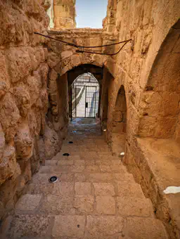 PXL_20230227_071501126