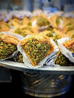 PXL_20230303_170632788.PORTRAIT