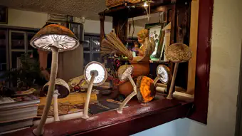 y_PXL_20221006_201941079