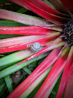 10_PXL_20220929_110644477.PORTRAIT