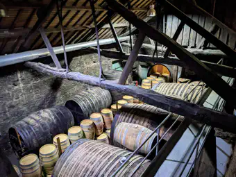 PXL_20221002_135612214