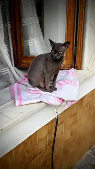 PXL_20221006_095923386.PORTRAIT